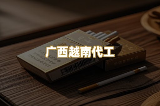 广西越南代工
